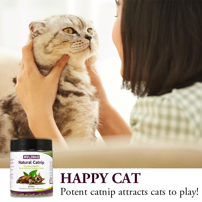 Cat Toys - Silvervine Catnip f - Herbal Wellness Products review and price
